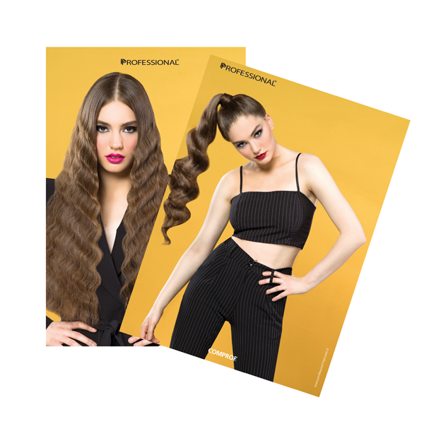 15003_professional_double_face_poster